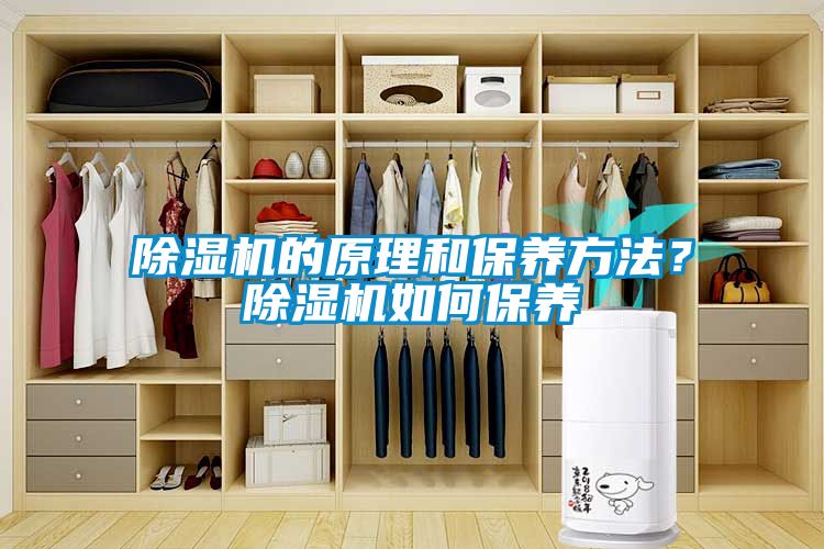 除濕機的原理和保養(yǎng)方法？除濕機如何保養(yǎng)