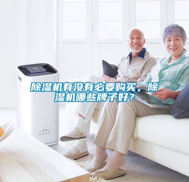 除濕機(jī)有沒有必要購買，除濕機(jī)哪些牌子好？