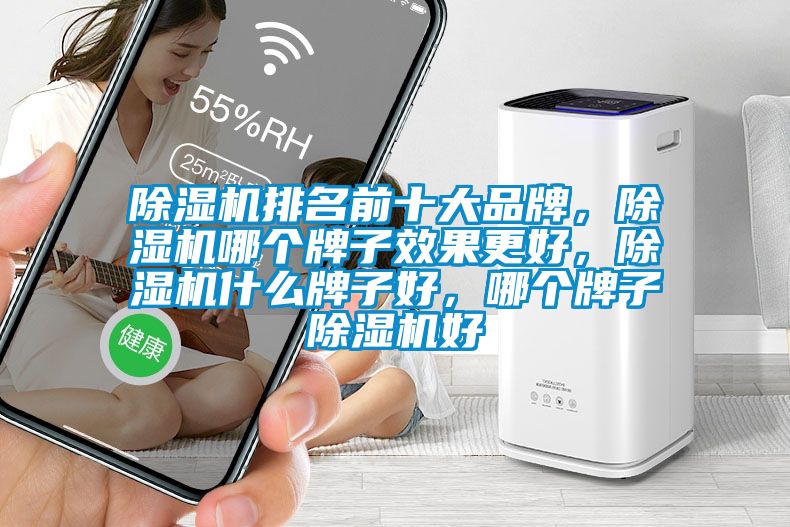 除濕機排名前十大品牌，除濕機哪個牌子效果更好，除濕機什么牌子好，哪個牌子除濕機好