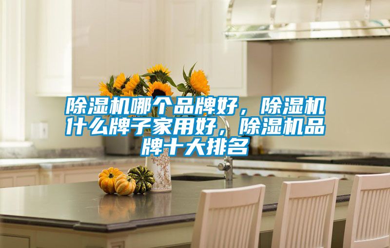 除濕機(jī)哪個(gè)品牌好，除濕機(jī)什么牌子家用好，除濕機(jī)品牌十大排名