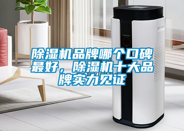 除濕機(jī)品牌哪個口碑最好，除濕機(jī)十大品牌實力見證