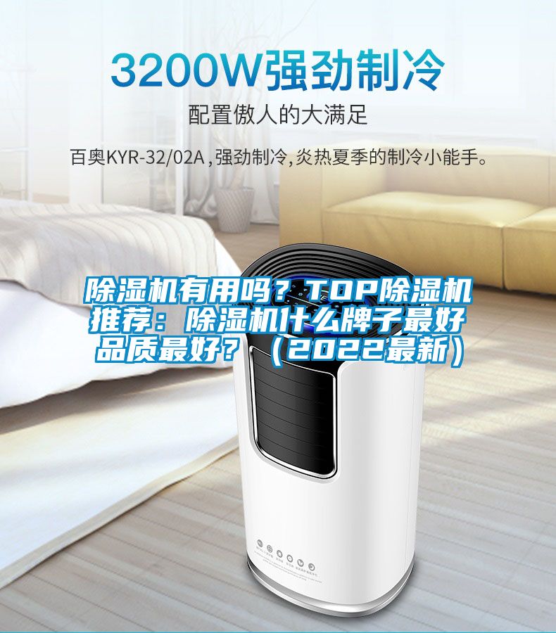 除濕機(jī)有用嗎？TOP除濕機(jī)推薦：除濕機(jī)什么牌子最好品質(zhì)最好？（2022最新）