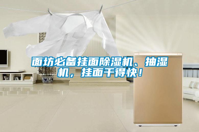 面坊必備掛面除濕機、抽濕機，掛面干得快！