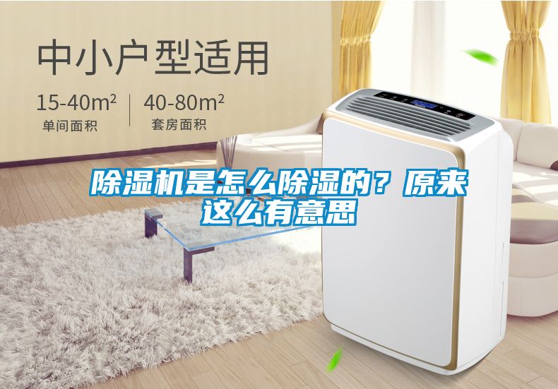 除濕機(jī)是怎么除濕的？原來(lái)這么有意思