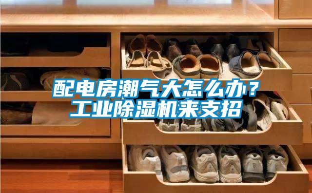 配電房潮氣大怎么辦？工業(yè)除濕機(jī)來(lái)支招