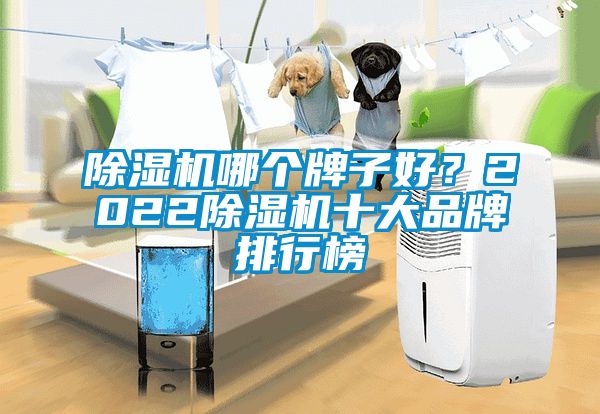除濕機哪個牌子好？2022除濕機十大品牌排行榜