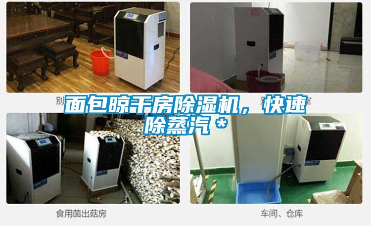 面包晾干房除濕機，快速除蒸汽＊