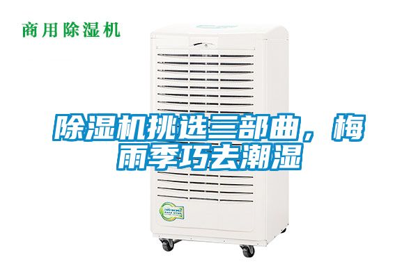 除濕機(jī)挑選三部曲，梅雨季巧去潮濕