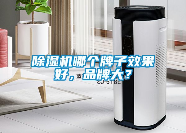 除濕機哪個牌子效果好，品牌大？