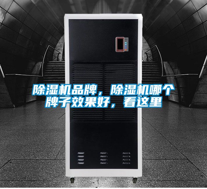 除濕機品牌，除濕機哪個牌子效果好，看這里