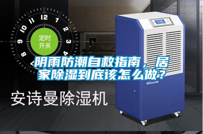 陰雨防潮自救指南，居家除濕到底該怎么做？