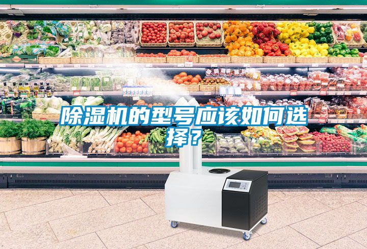 除濕機的型號應該如何選擇？