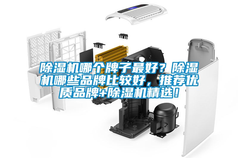 除濕機哪個牌子最好？除濕機哪些品牌比較好，推薦優(yōu)質(zhì)品牌+除濕機精選！