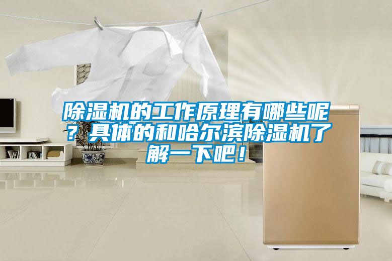 除濕機的工作原理有哪些呢？具體的和哈爾濱除濕機了解一下吧！