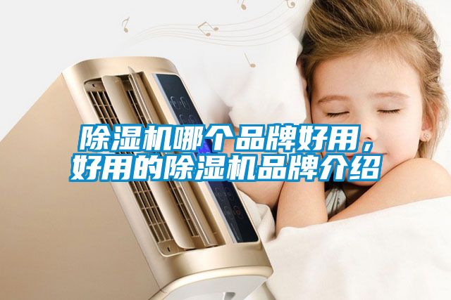 除濕機哪個品牌好用，好用的除濕機品牌介紹