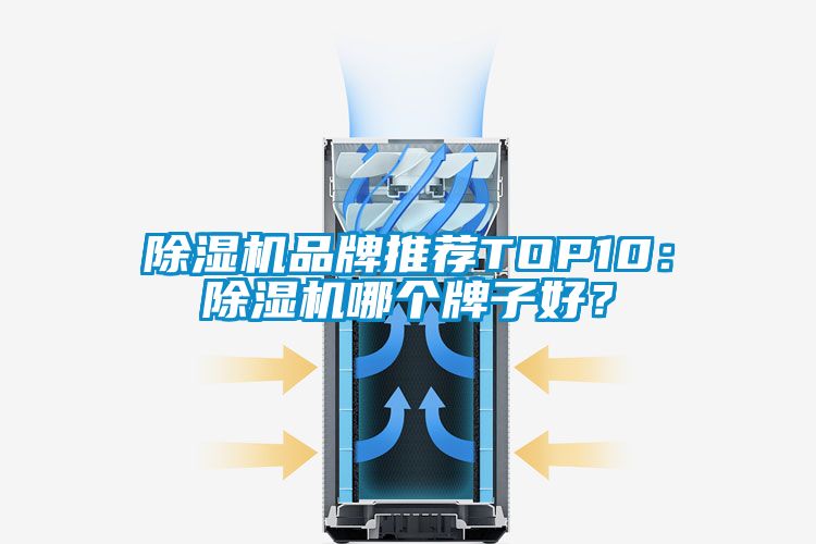 除濕機(jī)品牌推薦TOP10：除濕機(jī)哪個(gè)牌子好？