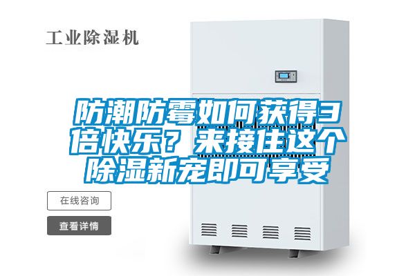 防潮防霉如何獲得3倍快樂？來接住這個除濕新寵即可享受