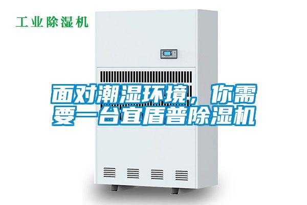 面對潮濕環(huán)境，你需要一臺宜盾普除濕機