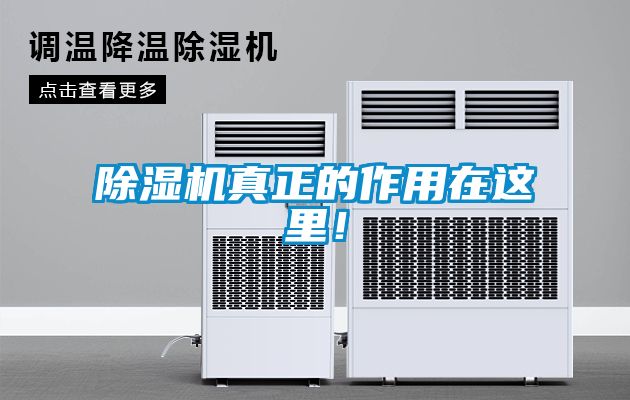 除濕機真正的作用在這里！
