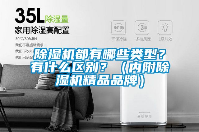 除濕機(jī)都有哪些類型？有什么區(qū)別？（內(nèi)附除濕機(jī)精品品牌）