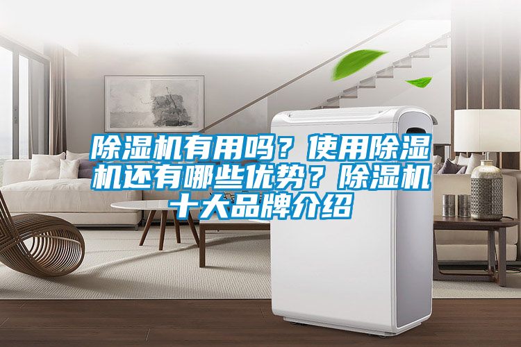 除濕機(jī)有用嗎？使用除濕機(jī)還有哪些優(yōu)勢(shì)？除濕機(jī)十大品牌介紹