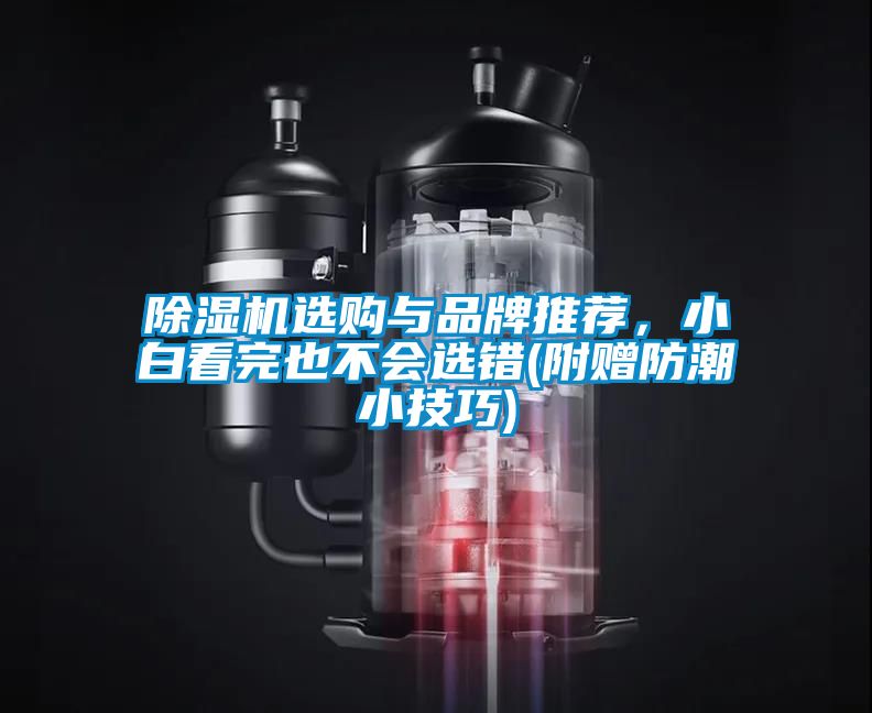 除濕機(jī)選購與品牌推薦，小白看完也不會(huì)選錯(cuò)(附贈(zèng)防潮小技巧)