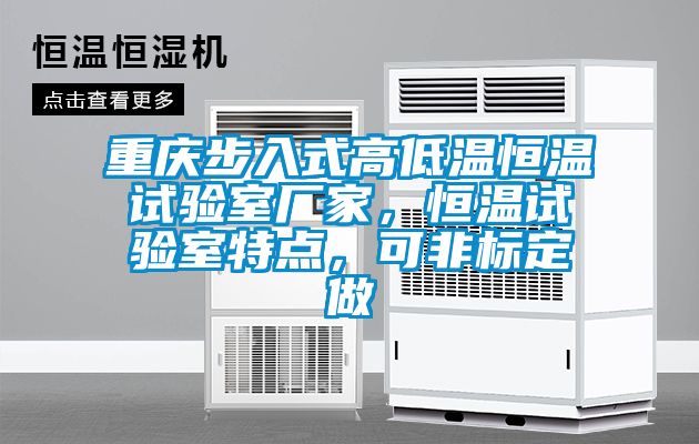 重慶步入式高低溫恒溫試驗(yàn)室廠家，恒溫試驗(yàn)室特點(diǎn)，可非標(biāo)定做