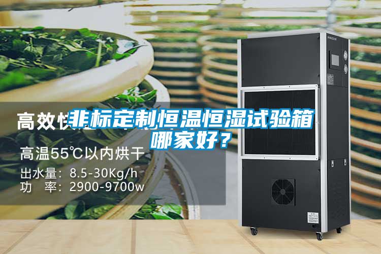 非標(biāo)定制恒溫恒濕試驗(yàn)箱哪家好？