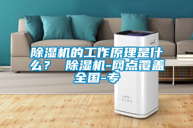 除濕機(jī)的工作原理是什么？ 除濕機(jī)-網(wǎng)點(diǎn)覆蓋全國-專