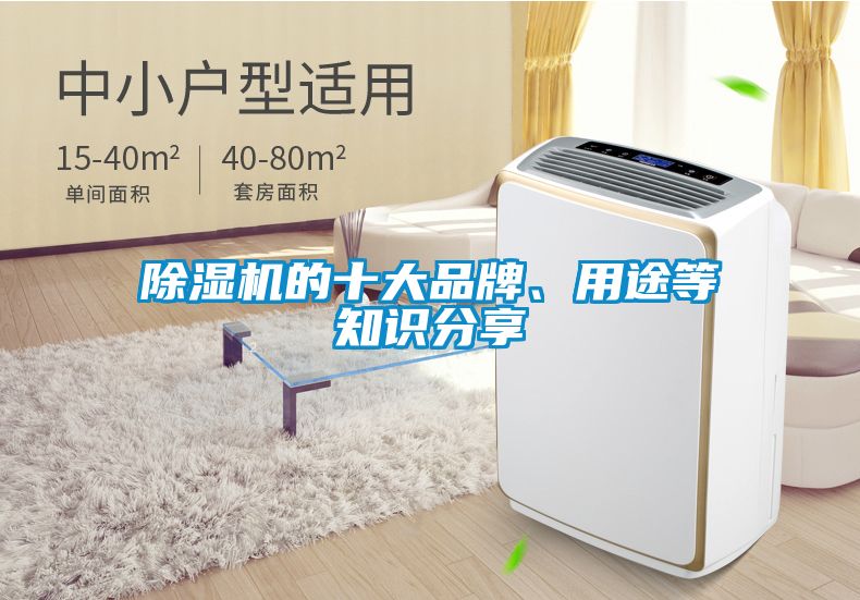 除濕機(jī)的十大品牌、用途等知識(shí)分享