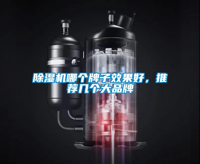 除濕機哪個牌子效果好，推薦幾個大品牌