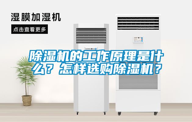 除濕機的工作原理是什么？怎樣選購除濕機？