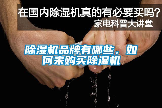 除濕機品牌有哪些，如何來購買除濕機