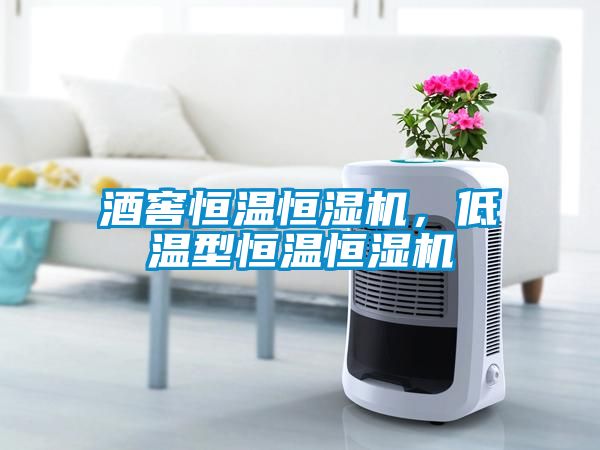 酒窖恒溫恒濕機(jī)，低溫型恒溫恒濕機(jī)