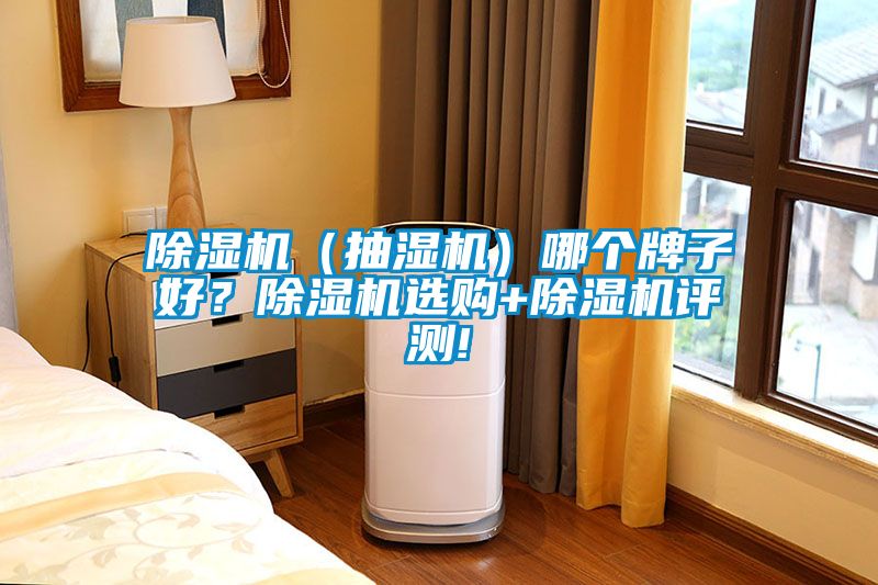 除濕機(jī)（抽濕機(jī)）哪個(gè)牌子好？除濕機(jī)選購(gòu)+除濕機(jī)評(píng)測(cè)!