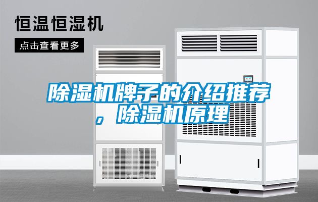 除濕機(jī)牌子的介紹推薦，除濕機(jī)原理