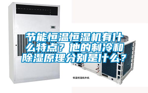 節(jié)能恒溫恒濕機(jī)有什么特點(diǎn)？他的制冷和除濕原理分別是什么？