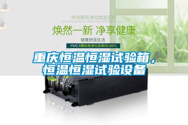 重慶恒溫恒濕試驗(yàn)箱，恒溫恒濕試驗(yàn)設(shè)備