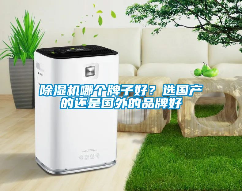 除濕機(jī)哪個牌子好？選國產(chǎn)的還是國外的品牌好