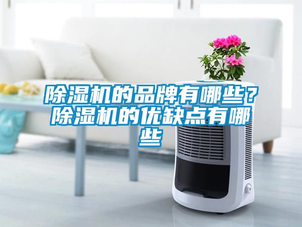 除濕機的品牌有哪些？除濕機的優(yōu)缺點有哪些
