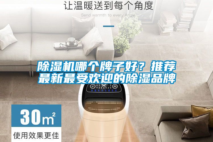 除濕機哪個牌子好？推薦最新最受歡迎的除濕品牌
