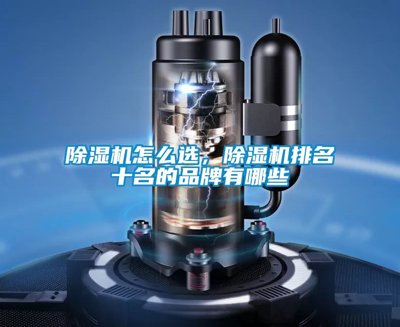 除濕機怎么選，除濕機排名十名的品牌有哪些