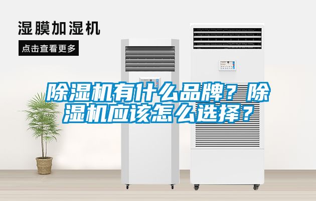 除濕機有什么品牌？除濕機應該怎么選擇？