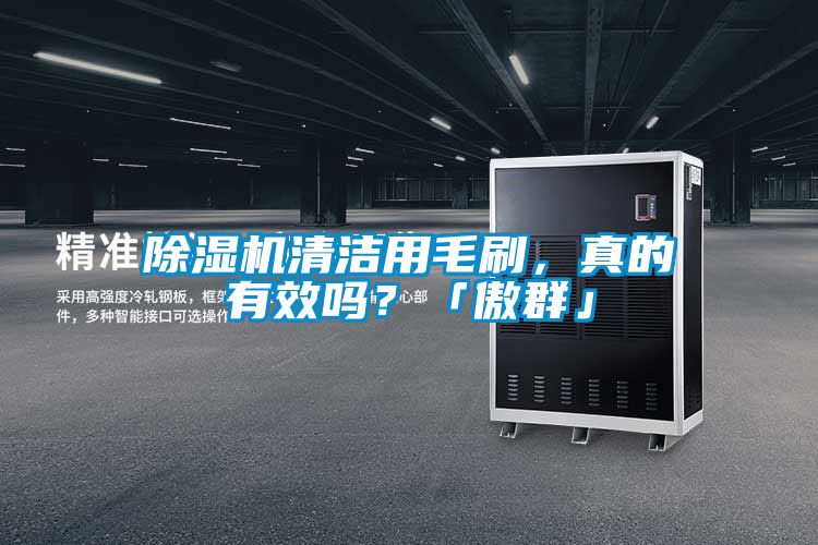 除濕機清潔用毛刷，真的有效嗎？「傲群」