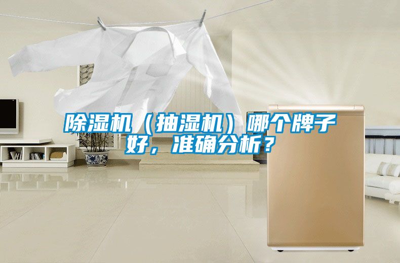 除濕機(jī)（抽濕機(jī)）哪個(gè)牌子好，準(zhǔn)確分析？