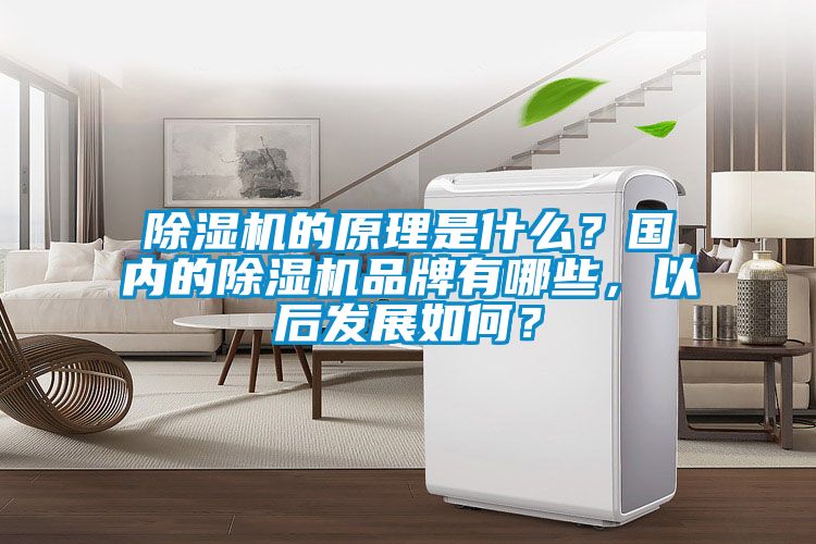 除濕機的原理是什么？國內(nèi)的除濕機品牌有哪些，以后發(fā)展如何？