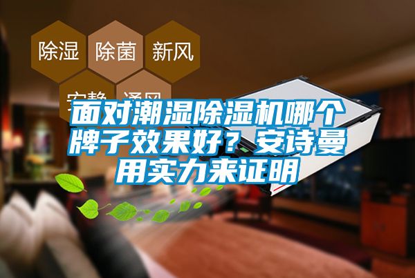 面對潮濕除濕機哪個牌子效果好？安詩曼用實力來證明