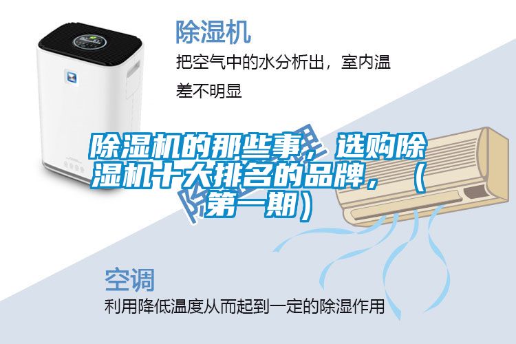 除濕機(jī)的那些事，選購(gòu)除濕機(jī)十大排名的品牌，（第一期）