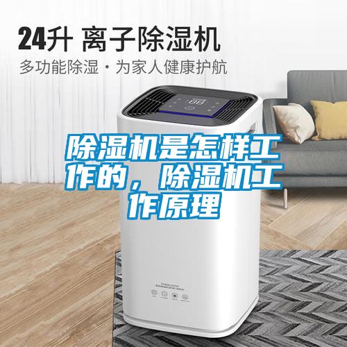 除濕機(jī)是怎樣工作的，除濕機(jī)工作原理