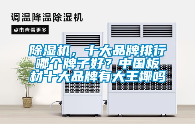 除濕機(jī)，十大品牌排行哪個(gè)牌子好？中國板材十大品牌有大王椰嗎